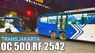 Bus Monster TransJakarta akhirnya Banyak Berdinas Kembali.. JR 205, Mercy 2542 & PPD Vintage Series
