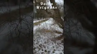 Parke #reels  #springdiaries #shortvideos #love #viralvideos #nature #travel #poetry #foryou