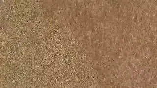 Seonghwa (MARS ASMR)🌊