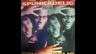 Spunkadelic - Boomerang (12