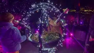 New England Botanic Garden Light show 