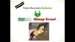 Triple Mountain Exclusive WIA GLOSSY Erren