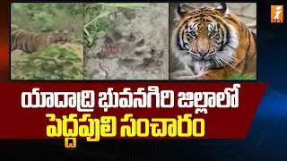 యాదాద్రి భువనగిరి జిల్లాలో పెద్దపులి సంచారం | Tiger in Yadadri Bhuvanagiri district | iNews