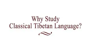 Yangsi Rinpoche: Why Study Classical Tibetan Language?