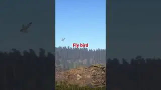 russian fishing 4 fly bird