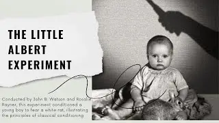 The Little Albert Experiment | Psychology Explained
