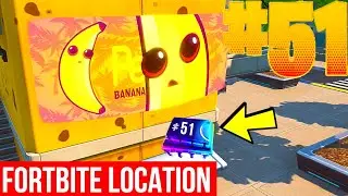 Fortbyte #51 Location - Accessible by using Cluck Strut In Front To Cross Road Peelys Banana Stand