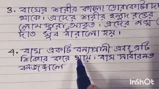 10 Lines Essay on Tiger Writing In Bengali#Handwriting#shorts
