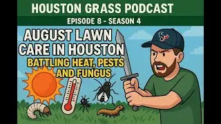 August Lawn Care in Houston   Battling Heat, Pests and Fungus