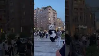 Big Panda in town #trending #travel #armenia #panda #city #yerevan #goodvibes