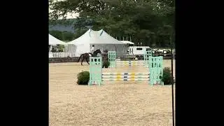 Lady-Upperville 