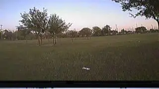 Little fpv in the park(1)