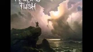 Kingdoms Of Flesh - Our Fair Lady Of The Plague