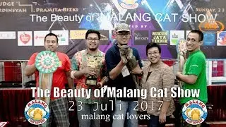 The Beauty of Malang Cat Show 23 Juli 2017 ~ malang cat lovers