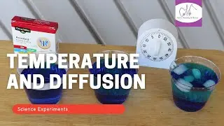 Diffusion of Food Coloring in Different Temperatures of Water (Water & Food Coloring Experiment)