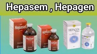 hepasel injection uses in urdu || hepagen injection uses in urdu || animals medicine ||@VetSurgery