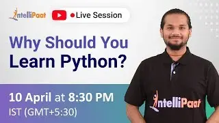 Why Learn Python | Python Developer Skills | Intellipaat
