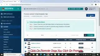How to promote Learners on EMIS Portal this Academic year 2025