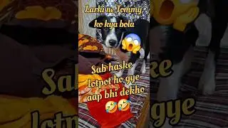 Larki ne Tommy ko kya bola😱//#dog #pets #funnydog #funnypet #comedy #dogshorts #funnyanimal #puppy