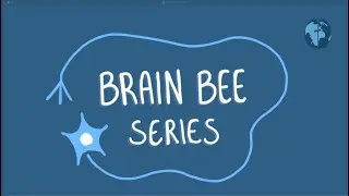 Chapter 1: The Brain Bee Series