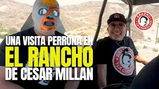 Visita Perr*na al Rancho de Cesar Millan.
