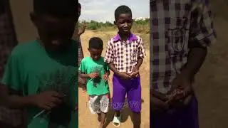 THE SMART BOYS ESCAPE THE MIND OF THE NATIVE DOCTOR