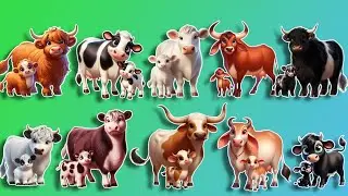 Top 20 Most Popular Cow Breeds 🐮 Learn Animal Names for Kids