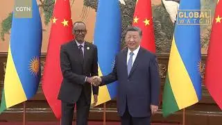 Xi Jinping: China will implement 10 partnership action plans with Africa to advance modernization