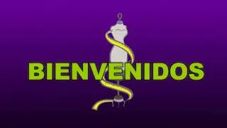 LA REGLA MAESTRA (ESTRATEGIA DE USO)