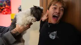 Jason Was TERRIFIED Looking At Lacy's Dog..