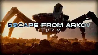 ЗАЧЕКИНИЛСЯ В ARC RIDERS - СТРИМ