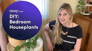 How to Use Bedroom Plants for Better Sleep | Sleep DIY with Meg Allan Cole | Sleep.com