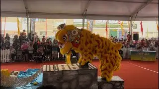Australia first national lion dance competition 2025 by Hong De lion & dragon team 