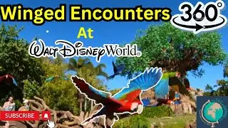 360 View of Winged Encounters at Animal Kingdom - Walt Disney World