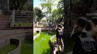 UP oblation run 2023.bird watching#UPOblationRun2023 #birdwatching