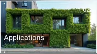 Moss walls Project
