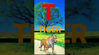 T For Tiger Alphabet| abcd Larning #abcd #alphabet #shorts #youtubeshorts