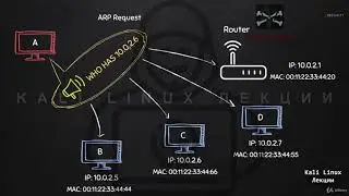 Kali Linux  Создаем ARP-запрос с помощью Scapy