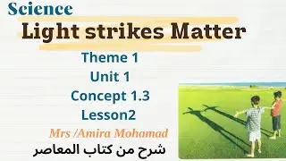 Science Grade4 | Light strikes Matter | Concept 1.3 | lesson 2 | Activity 5 | First term 2024-2025