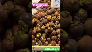 【Udonthani】果物の王様と女王　Fruits King and Queen #thai #thailand #タイ #thaitrip #durian #mangosteen