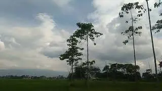 *banyak pohon Baraya!!suasana di perkampungan,pemandangan bikin kita gak mau pulang,bikin adem.