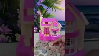 Dog's Money Story So Funny #unboxing #funny #house #money