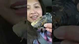 Trip to Bodega Bay California +Foraging Mussels