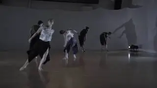 Portland Dance Archives: Tere Mathern: Edge Effects (2016)