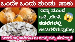 👉 ಇದರ ಒಂದು ತುಂಡು ಹಾಕಿದರೆ ಸಾಕು ಅಕ್ಕಿ, ಬಟಾಣಿ, ಬೇಳೆಗಳಲ್ಲಿ ಕೀಟಗಳು ಚದುರಿ ಹೋಗುತ್ತವೆ😱/kitchen tips
