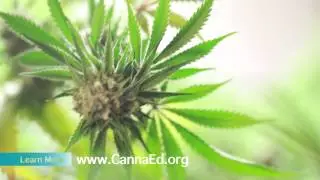 Connecticut Pharmaceutical Solutions