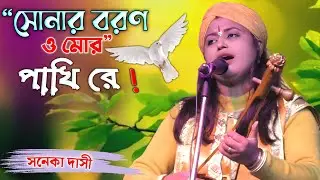 সোনার বরণ ও মোর পাখি রে | Sonar Boron O Mor Pakhi Re | Saneka Dasi Baul | New Baul Song 2025