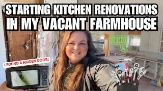 Starting the kitchen renovations, bees and hidden doors (ep4)