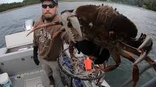 Dungeness Limits!  Crab Fishing - Juneau, Alaska MAY 2020