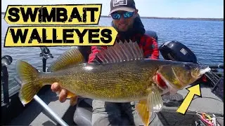 How to Fish Swimbaits for Spring Walleyes - Walleye Fishing